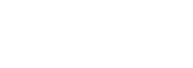 Apex financials Logo